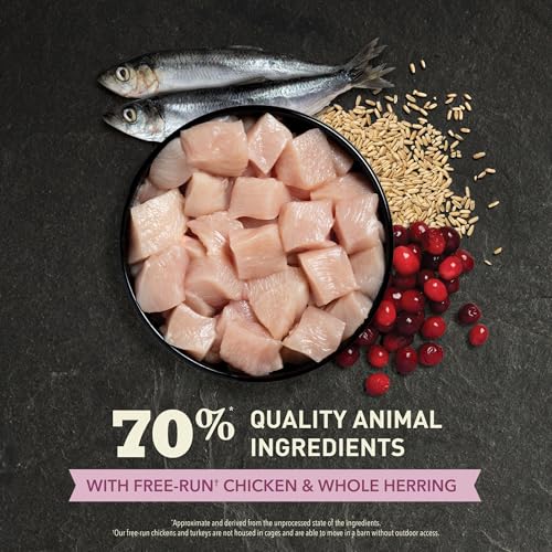 ACANA Dry Cat Food For Kittens First Feast Chicken and Fish 4lb Bag - size: 4 Pound (Pack of 1)