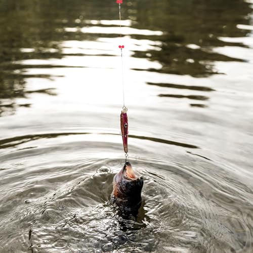 12 Pcs Double Drop Saltwater Fishing Rig - Pre-Tied 2 Hook Bottom Fishing Rigs with Swivels and Snaps - 90lb Mono Leader Line for Snapper, Bass, Mackerel, Catfish, Surf Pier Boat