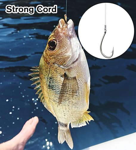 HSHFAMIIY Clear Fishing Line 656ft (200m) Strong 0.45mm Nylon Monofilament Cord, Balloon Hanging String, Durable & Tangle Free Spool, Perfect for Party Decorations, Jewelry Making, Beading & Crafts