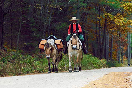 TrailMax Iron-Cloth Pack Pannier Bags, for Horse and Mule Packing, Heavy Duty Nylon Mesh, Washable, Incredibly Durable, Versatile, Orange and Black, Sold in Pair