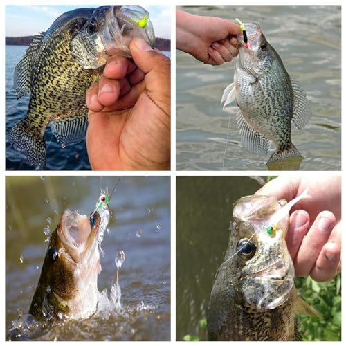 Crappie Jig Heads Kit, 75 Pieces Fishing Jig Head Hooks for Fishing Crappie Bass Trout Walleye 1/8oz 1/16oz 1/32oz - color: Fishing Jigs 75Pcs-1/16