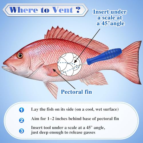 Feekoon Fish Venting Tool, Venting Kit for Deep Sea Fishes with Stainless Steel Needle, Fishing Tackle for Saltwater Fishing Fish Release and Return (Patented) - color: Blue Handle