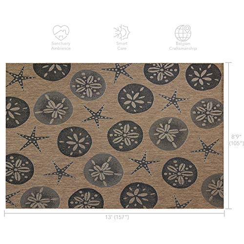 Gertmenian Indoor Outdoor Area Rug, Classic Flatweave, Washable, Stain & UV Resistant Carpet, Deck, Patio, Poolside & Mudroom, 9x13 Ft Extra Large, Sand Dollar Starfish, Nut Brown Black - color: Sand Dollar Starfish Nut Brown Black, size: 8'9" x 13'1" (Re