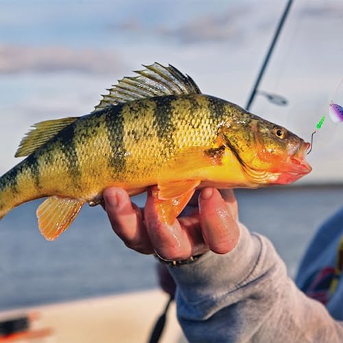 Stacked Fishing Beads, 150/200pcs Fishing Beads Lures Making Supplies Tackle Trout Beads Walleye Rig Inline Spinner Making Accessories Salmon Eggs Saltwater Freshwater - color: mixed-200pcs