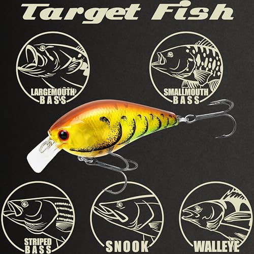 LUCKY CRAFT LC 1.5 Silent Squarebill Crankbait Fishing Lure, 2-3/8", Bass Fishing Lures for Freshwater, Hard Crankbait with Treble Fishing Hooks, Fishing Accessories - color: 496 Table Rock Craw