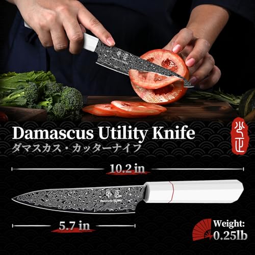 DRGSKL Damascus Kitchen Utility Knife - Japanese VG10 Small Chef Knife 6 inch - Japanese G10 Handle - Versatile Knives for Vegetable Fruit Meat - with Gift Box - size: 5.7 inch