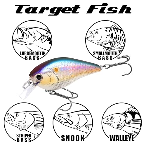 LUCKY CRAFT LC 1.5 Silent Squarebill Crankbait Fishing Lure, 2-3/8", Bass Fishing Lures for Freshwater, Hard Crankbait with Treble Fishing Hooks, Fishing Accessories - color: 424 MS Impulse Shad