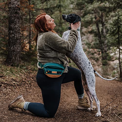 Wilderdog Utility Fanny Pack stores Treats, Balls, Keys in 3 Pockets with adjustable strap and Poop Bag dispenser (Evergreen) - color: Evergreen