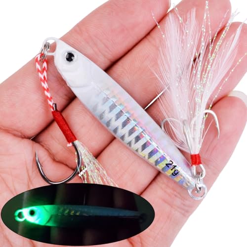 Saltwater Fishing jigs Speed Jigging Slow Jigging Pitching Lures Artificial Lures - size: 10pcs 28G