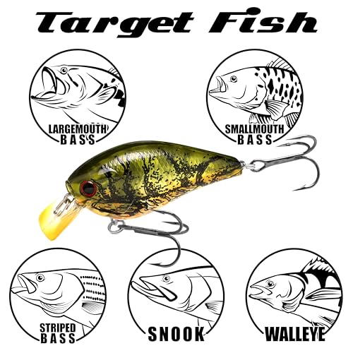 LUCKY CRAFT 1.5DRS Deep Rattle Sound Crankbait Fishing Lures, Shallow Diving Trout and Bass Lures, 3-4ft Depth, Square Bill Crankbait, Saltwater Fishing Gear and Accessories - color: 137 TO Craw