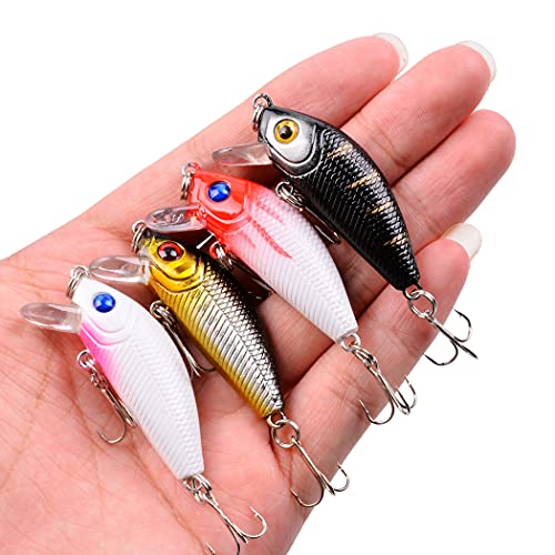 Aorace Fishing Lures Kit Mixed Including Minnow Popper Crank Baits with Hooks for Saltwater Freshwater Trout Bass Salmon Fishing - color: Item-E 56pcs