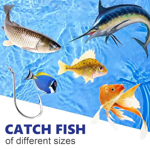 UCEC Octopus Hooks Saltwater Freshwater, Small Fishing Hooks 1000/400/150PCS Barbed Catfish Bend Eye Circle Hook, for Dad Fish Hook Kit Size1/0#1#2#3#4#5#6#7#8#9#10#11#12 - color: 150PCS Size: #1 #2 #3 #4 #5 #6 #8 #10 #12