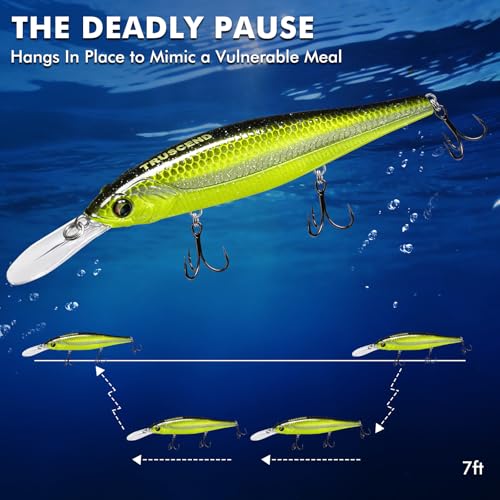 TRUSCEND Suspending Jerkbait, Rattle Minnow Lures with BKK Hooks, Freshwater Bass Trout Striper Walleye Pike Fishing Lures, Variety Pack for All Water Conditions, Premium Fishing Gear and Gifts - color: A3-4.3",0.6oz