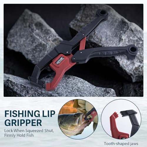 Goture Fishing Lures with Tackle Box and Fishing Tool Kit Set for Men Women, Include Fish plier, Fish Ruler, Fishing Gripper, Weigh Scale with Gift Box - color: Gift Boxed, size: Tools Set+66pcs Lure Kit+Fishing Scale
