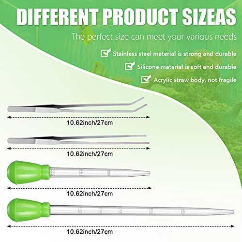 Weewooday 2 Pieces Aquarium Coral Feeder with 2 Pieces Stainless Steel Feeding Long Tweezers Syringe Spot Coral Feeder Reptile Feeding Tools for Aquatic Plant Reef Anemones Lionfish (Green, Silver) - color: Green, Silver