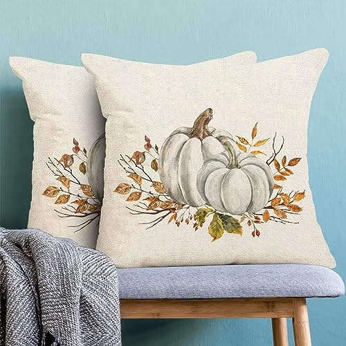 Autumn Fall Pillow Covers 18 X 18 Inch Set of 2, White and Grey Pumpkins Orange Flowers Throw Pillow Covers Farmhouse Thanksgiving Harvest Decorative Autumn Pillows for Couch Home Sofa Outdoor - color: Pumpkin3, size: 18" x 18" (Pack of 1)