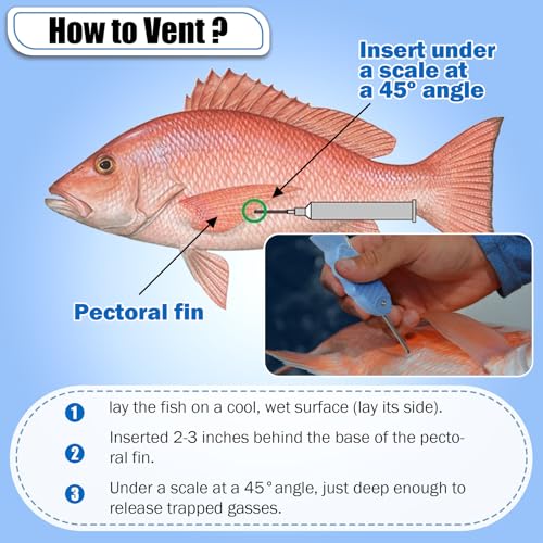 EUPHENG Fish Venting Tool with Fish Hook Remover, Safe & Convenient Dehooker Venting Device for Deep Sea Fish Release and Return - size: 2 PCS