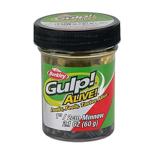 Berkley Gulp! Alive! Minnow Fishing Soft Bait - color: Starry Night, size: 1in - Jar