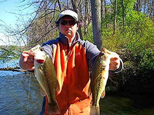 Long Shank Neck EWG Offset Worm Hook Wide Gap Swimbait Weedless Fishing Terminal Tackle - color: 25/PK Long Neck EWG Hook 4/0