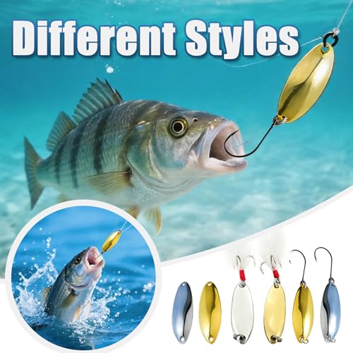 Personalized Engraved Spoon Fishing Lure Custom Text Metal Bait 5g 7g 10g 15g with Gift Box for Dad Fisherman Father's Day Birthday