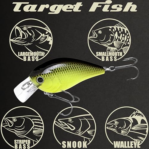 LUCKY CRAFT LC 1.5 Silent Squarebill Crankbait Fishing Lure, 2-3/8", Bass Fishing Lures for Freshwater, Hard Crankbait with Treble Fishing Hooks, Fishing Accessories - color: 146 TO Chart
