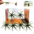 4Pcs Sea Urchin Soft Bait, Realistic Fuzzy Dice Fishing Lure,Floating TPR Swimbait with Reflective Stars, Plastic Baits for Bass Fishing,Drop Shot,Wacky Rig/Neko Rig & Finesse,Slow Sinking