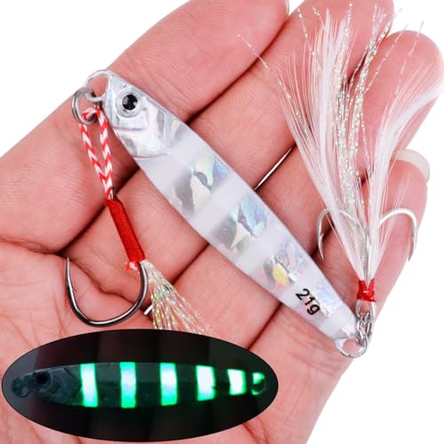 Saltwater Fishing jigs Speed Jigging Slow Jigging Pitching Lures Artificial Lures - size: 10pcs 80G