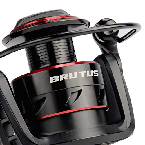 KastKing Brutus Spinning Reel, Freshwater Spinning Fishing Reels, Graphite Frame, CNC Aluminum Spool, 5.2:1 Gear Ratio, 4+1 Ball Bearings - style: 3000