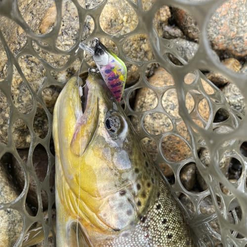 Wounded Duo Sampler 3 Pack – Ultralight Wobble Minnow Crankbait Fishing Lures (55mm & 50mm) – Wounded Series – Single Barb Hooks – Trout, Bass & Panfish Lures
