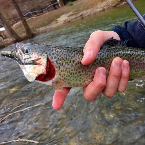 Goture Bass Fishing Lures, Lifelike Jointed Swimbait for Bass Trout Walleye Crappie Pike, Slow Sinking Segment Swimming Bait Fishing Lures for Freshwater and Saltwater, Gifts for Men - color: D1:5pcs Bass Lures with 20pcs Snaps