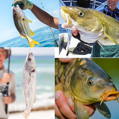 Fishing Weights Sinkers Kit Bass Casting Weights Drop Shot Weights with Swivel for Freshwater Saltwater Catfish Weights - style: 43pcs