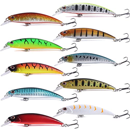 Jerkbait Fishing Lures Jerk Baits for Bass Fishing Jerk Bait Minnow Lures with Tackle Box for Freshwater Saltwater,10pcs - color: A-3.15in/0.32oz-10pcs