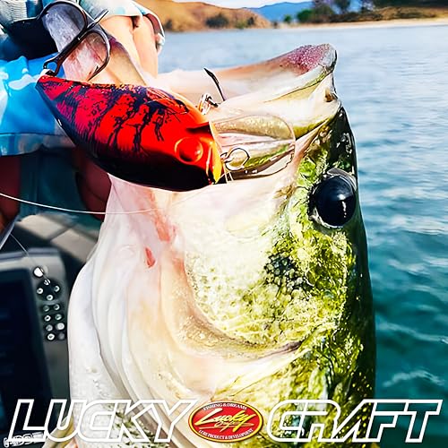 LUCKY CRAFT Fat CB BDS Magic 1.2, Crank Action Perfect Wobbling Freshwater Lake Bass Fishing Champion Bait - color: 176 Flake Flake Striped Gill