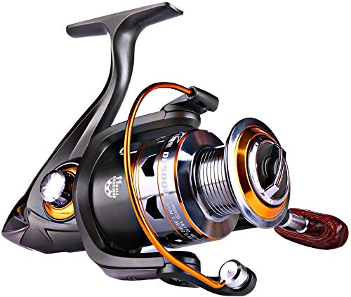 Sougayilang Spinning Fishing Reels with Left/Right Interchangeable Collapsible Wood Handle Powerful Metal Body 5.2:1/5.1:1 Gear Ratio Smooth 11BB for Inshore Boat Rock Freshwater Saltwater Fishing - size: DK2000