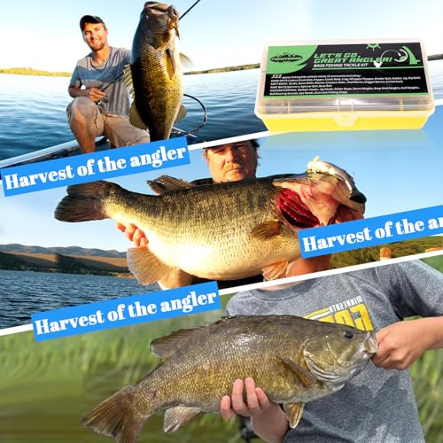 FONMANG 322-Piece Fishing Lures Kit - Buzz Bait/Spinner Baits/Jig/Frog, Fishing Tackle Box with Tackle Included, Soft Bait/Hooks/Weights, Fishing Gear Lure Kit Gift for Men Freshwater Bass Trout - color: A-322pcs Bass Fishing Kit