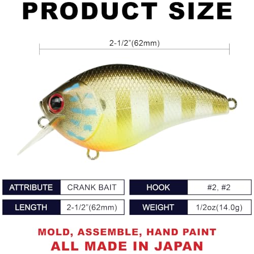 LUCKY CRAFT Fat CB BDS2 Fishing Lure, 2.5" Floating Squarebill Crankbait, 2–3 ft Depth, Freshwater Trout and Bass Lures, Bass Fishing Gear and Tournament Hard Bait - color: 304 Cow Boy Gill
