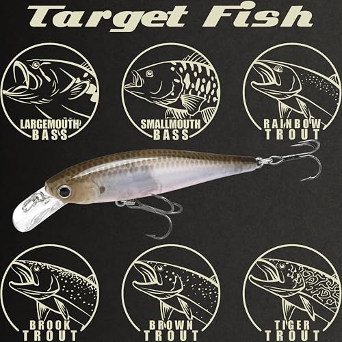 Lucky Craft Fishing Lure Pointer 65 Jerk Bait