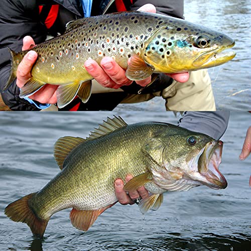 YZD Realistic Fly Fishing Dry Wet Nymph Trout Flies Topwater Lures for Freshwater Saltwater High Simulation Hand Tie Lure Kits - color: 21-A-02