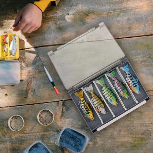 Double Sided Fishing Lure Box Organizer, Fishing Tackle Box Storage Hard Plastic Container Case for Lure Bait Hooks Beads Jewelry Earring - color: Gray