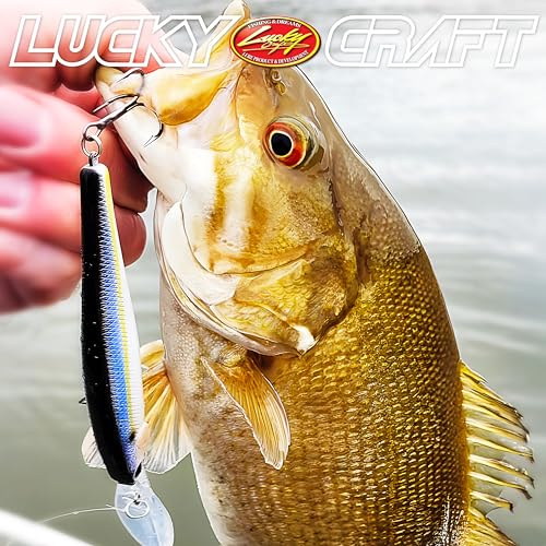 LUCKY CRAFT SW Pointer 100XD, Saltwater Fishing Lure, Jerkbait, Tournament Winning, Deep Diver, Fishing Gear, Fishing Accessories, Fishing Tackle - color: 052 Aurora Black