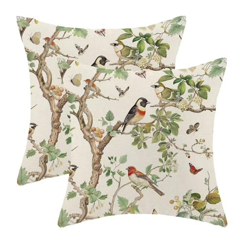 Chinoiserie Pillow Covers 16 x 16 Set of 2, Spring Bird Butterfly Throw Pillow Covers Farmhouse Pillowcase Home Decor for Couch Sofa Outdoor - color: Chinoiserie-c, size: 16" x 16" (Pack of 1)