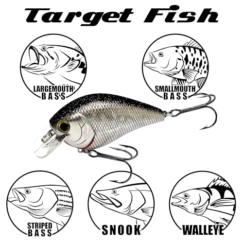 LUCKY CRAFT Fat CB BDS2 Fishing Lure, 2.5" Floating Squarebill Crankbait, 2–3 ft Depth, Freshwater Trout and Bass Lures, Bass Fishing Gear and Tournament Hard Bait - color: 250 Chartreuse Shad