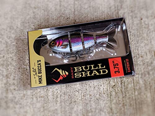 Catch Co Mike Bucca Baby Bull Shad Swimbait 3.75" 1/2 oz - color: Rainbow Trout