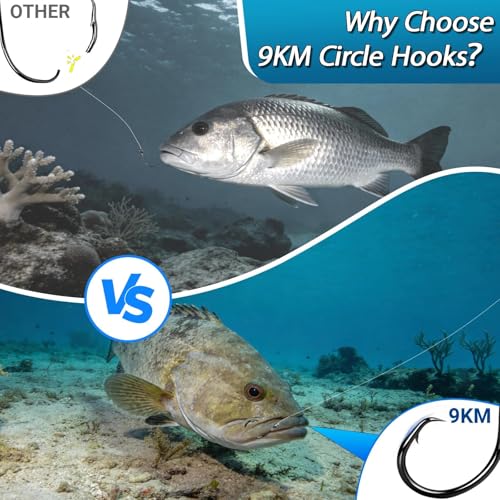 9KM DWLIFE Circle Hooks 25pcs 4X Strong Fishing Hooks – High Carbon Steel, Non-Offset Closed Eye, Wide Gap for Catfish, Striped Bass, Salmon –Circle Hooks for Saltwater & Freshwater - size: 3/0#
