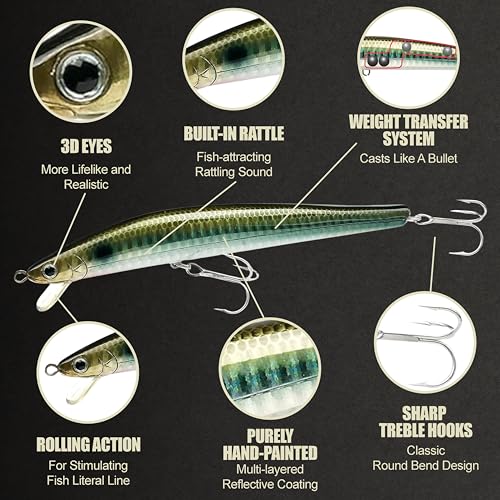 Lucky Craft FlashMinnow 125 YAWARA Saltwater Fishing Lure, Jerkbait for Halibut and Sea Bass, Long Casting Fishing Gear, Slow Sinking 5in 0.7oz, Tackle Box and Fish Accessories - color: 7357 Anchovy Venus, size: 125FW, style: No Scales