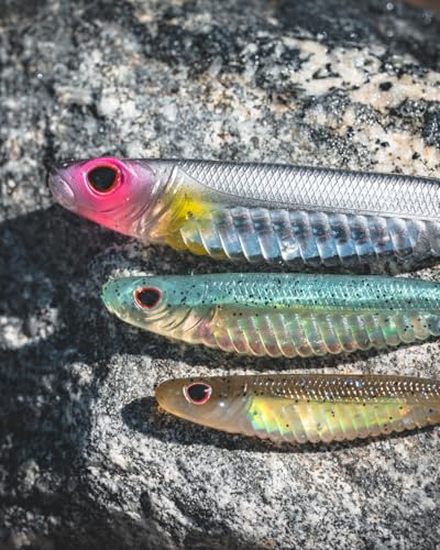 Nomad Design Spectre Minnow 3.25" Internal Foil System, Soft Paddletail - (5 Pack) - Live Ops for Fresh or Saltwater Inshore Species - color: Natural Shad