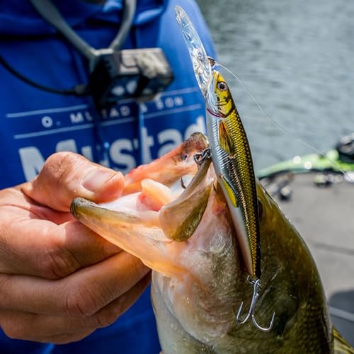 Mustad BlacktipH Live Bait Rig, Demon Wide Gap Circle Hook, Premium fluorocarbon Leader, Premium Rosco Swivel - size: Small