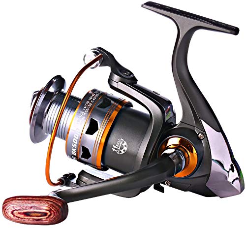 Sougayilang Spinning Fishing Reels with Left/Right Interchangeable Collapsible Wood Handle Powerful Metal Body 5.2:1/5.1:1 Gear Ratio Smooth 11BB for Inshore Boat Rock Freshwater Saltwater Fishing - size: DK2000