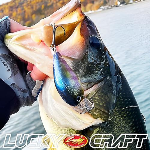 LUCKY CRAFT Fat CB BDS2 Fishing Lure, 2.5" Floating Squarebill Crankbait, 2–3 ft Depth, Freshwater Trout and Bass Lures, Bass Fishing Gear and Tournament Hard Bait - color: 137 TO Craw