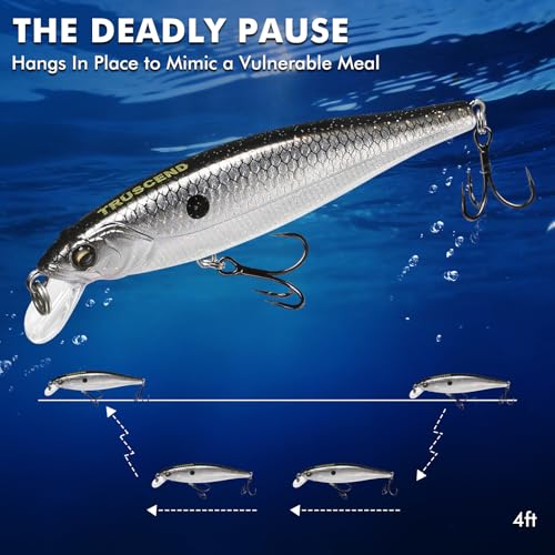 TRUSCEND Suspending Jerkbait, Rattle Minnow Lures with BKK Hooks, Freshwater Bass Trout Striper Walleye Pike Fishing Lures, Variety Pack for All Water Conditions, Premium Fishing Gear and Gifts - color: A1-3.5",0.3oz